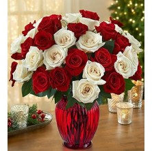 Best Wishes Roses - 36 Stems Vase